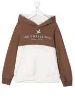 Brunello Cucinelli Kids' Be Conscious Hoodie In Brown