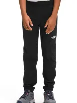 The North Face Teen Logo Embroidered Track Pants In Black