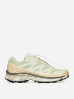 Salomon Scarpe Xt-6 Aloe Wash/hazelnut/feather Gray In Multicolor