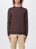 Hugo Jumper  Men In Brown