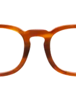 Illesteva Griffith Optical In Brown