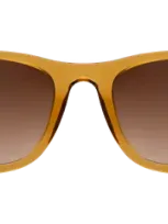 Illesteva James Sunglasses In Cider / Brown Gradient