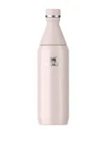 Stanley All Day Slim Bottle In Pink