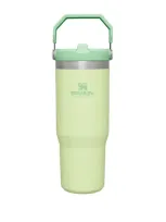 Stanley Iceflow Flip-straw Tumbler In Green