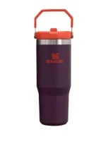 Stanley Iceflow Flip Straw Tumbler In Purple