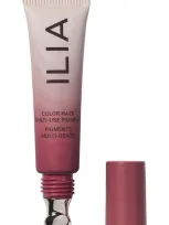 Ilia Color Haze Multi-matte Pigment Cream Color - Rose In Sing (deep Berry)