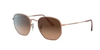 Ray Ban Ray In Brown