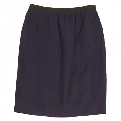 Pre-owned Golden Goose Skirt In Navy