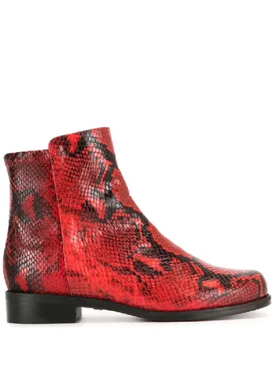 Stuart Weitzman Easy On Snakeskin Boots In Red