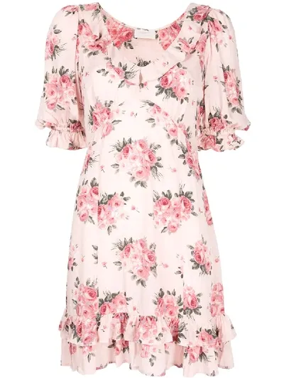 Auguste Roselle Dusk Rose-print Mini Dress In Pink