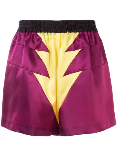 Walter Van Beirendonck Colour Block Track Shorts In Purple