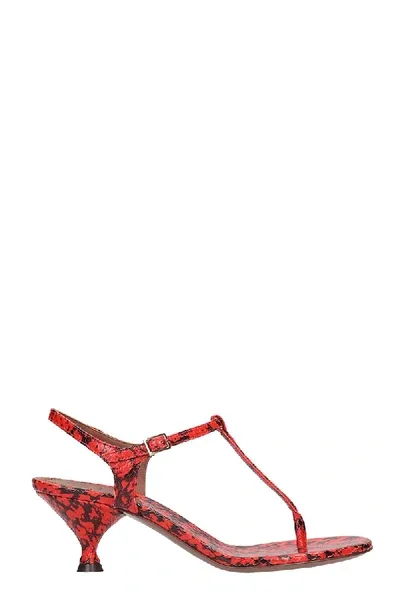 L'autre Chose Snakeskin Print Sandals In Red