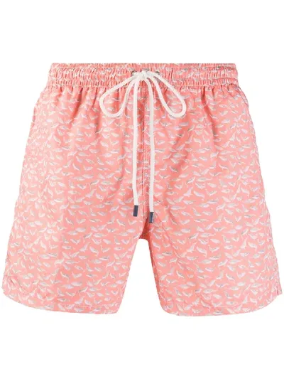 Fedeli Whale Print Swim Shorts In Orange