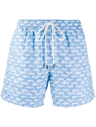 Fedeli Bird Print Swim Shorts In Blue