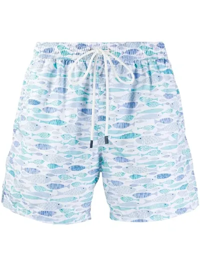 Fedeli Badeshorts Mit Fisch-print In Green