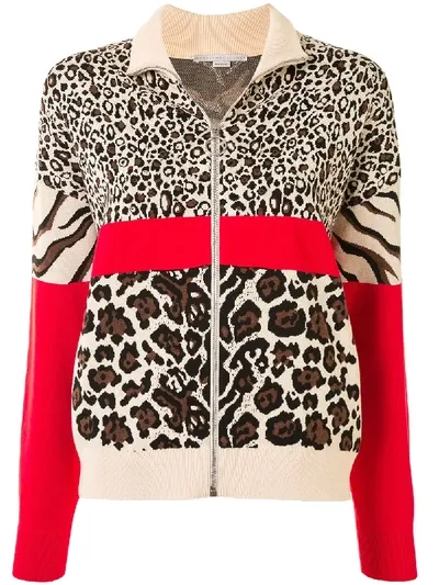 Stella Mccartney Bomberjacke Mit Print In Brown