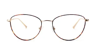 Taylor Morris Eyewear Sw10 C2 In Brown