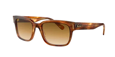 Ray Ban Ray In Brown