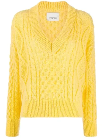 Laneus Cable-knit Jumper In Yellow