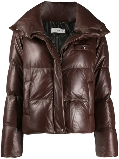 Coach Padded Zipped Jacket In Brown