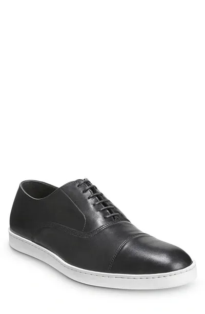 Allen Edmonds Park Sneaker In Black