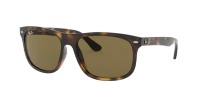 Ray Ban Ray In Brown