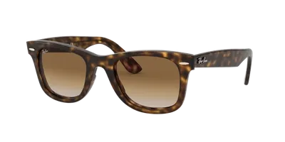 Ray Ban Ray In Brown