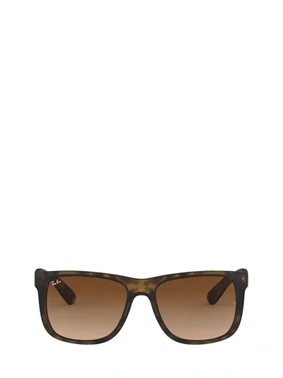 Ray Ban Ray In Brown