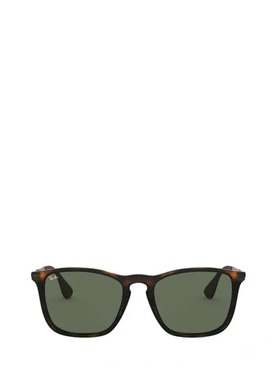 Ray Ban Ray In Brown