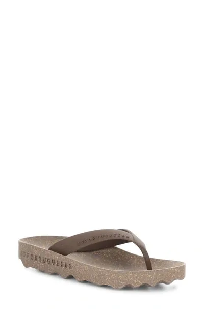 Asportuguesas By Fly London Feel Flip Flop In Brown Rubber