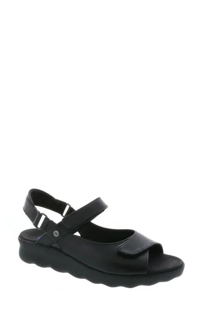 Wolky Pichu Quarter Strap Sandal In Black