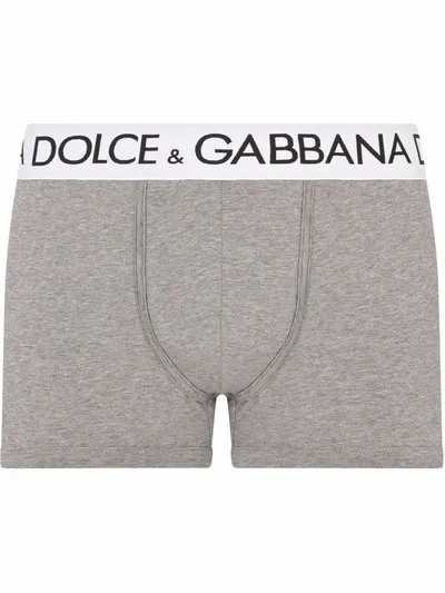 Dolce & Gabbana Logo-waistband Stretch Briefs In グレー