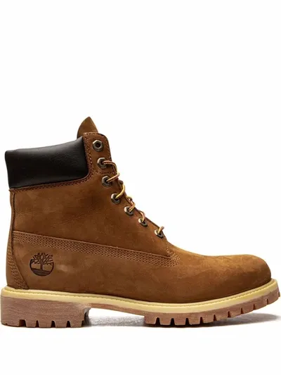 Timberland 6 Inch Premium Waterproof Boots In Brown