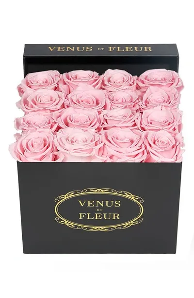 Venus Et Fleur Classic Small Square Eternity Roses In Pink