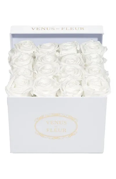 Venus Et Fleur Classic Small Square Eternity Roses In Pure White