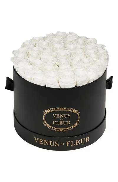 Venus Et Fleur Classic Large Eternity Roses In Pure White