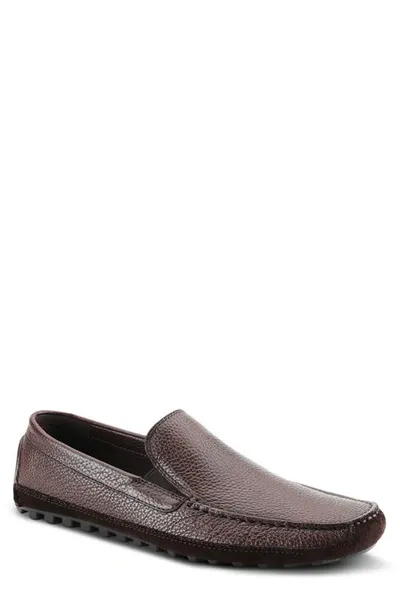 Spring Step Dover Leather Loafer In Dark Brown