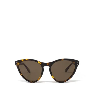 Gucci Gg0569s Havana Female Sunglasses In Multi