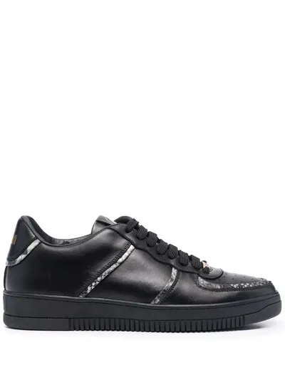 Roberto Cavalli Snake-effect Trim Leather Sneakers In Black