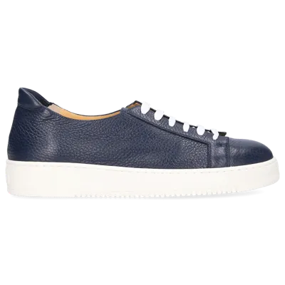 Truman's Low-top Sneakers 9305 In Blue