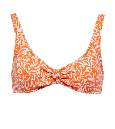 Heidi Klein Côte D'azur Printed Recycled Polyamide-blend Bikini Top