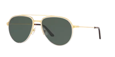 Cartier Ct0325s Gold Male Sunglasses In Green