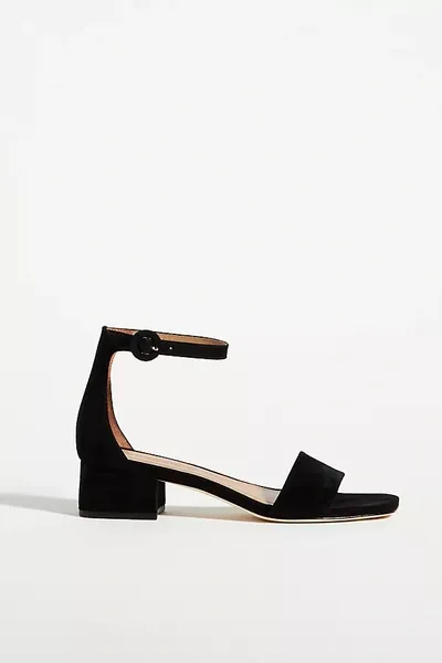 Bernardo Jalena Suede Ankle-strap Sandals In Black