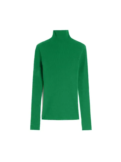 Sportmax Womens Jade Cometa Rollneck Wool Top Xs In Green