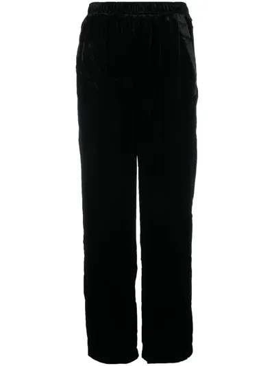 Gold Hawk Velvet Straight-leg Trousers In Schwarz