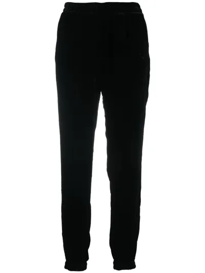 Gold Hawk Velvet Tapered Track Pants In Schwarz