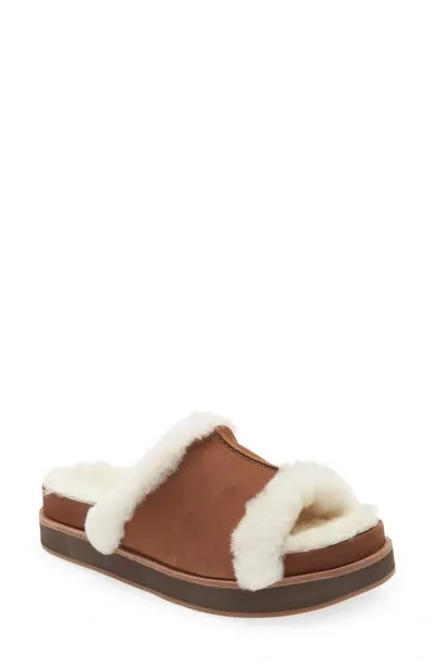 Chocolat Blu Bobby Genuine Shearling Slide Sandal In Brown Nubuck