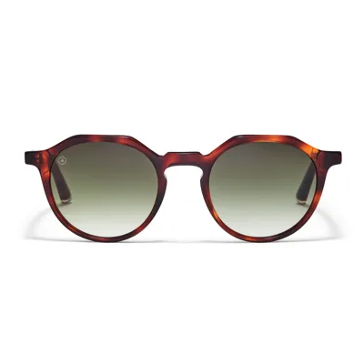 Taylor Morris Eyewear Oxford Sunglasses In Brown