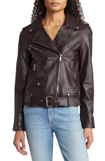 Sam Edelman Belted Moto Jacket In Brown