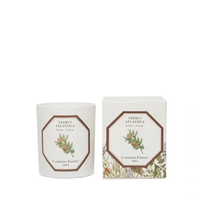 Carriere Freres Bougie Parfumée Cèdre - Cedrus Atlantica - 185 G In White